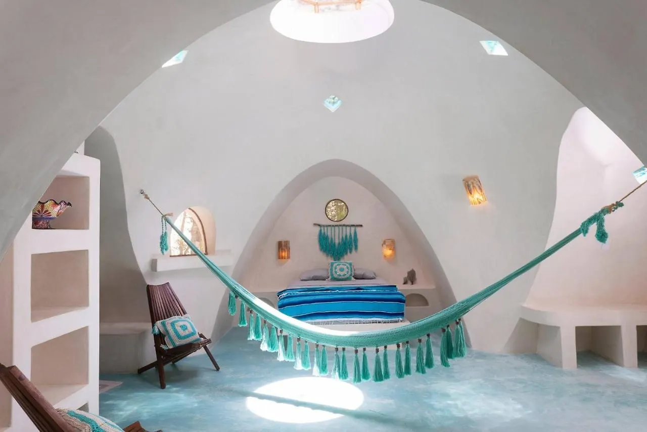 公寓 Unique Jungle Dome Ha With Kitchen