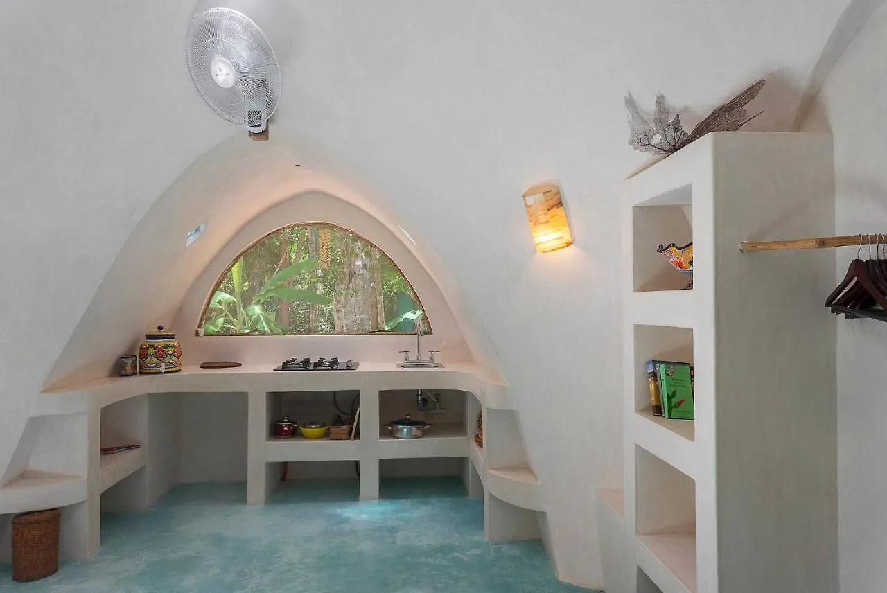 Unique Jungle Dome Ha With Kitchen